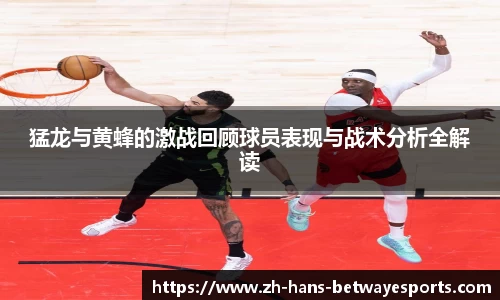 猛龙与黄蜂的激战回顾球员表现与战术分析全解读